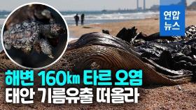 [영상] 타르 잔뜩 묻은 고래 사체가…이스라엘 해안에 무슨 일이?