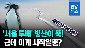 [영상] 펭귄아 어떡해…서울 2배 크기 초대형 빙산 남극서 떨어져나가