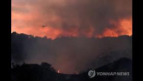 미 LA서 방화 추정 대형산불…주민 1천명·가축 긴급대피