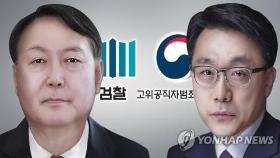 與, 공수처 尹수사에 