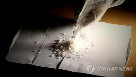 강남서 마약 추정 가루 280ｇ 소지 20대 남녀 체포