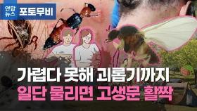 [포토무비] 미친듯 가렵고 타는듯 아프고…물리면 악 소리 난다는데