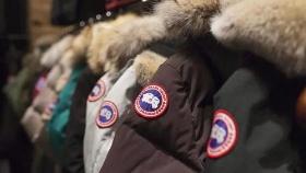 명품 파카 '캐나다구스' 내년 말 동물 털제품 생산 중단