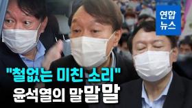 [영상] 도마에 오른 윤석열 '대구 민란' 발언…뭐라 말했길래