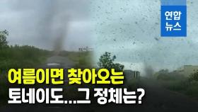 [영상] 시커먼 구름기둥? 토네이도?…러시아서 수백만 마리 모기떼 출몰