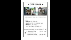 '남양주 개 물림 사망사고' 견주 오늘 영장실질심사