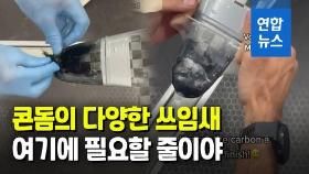 [영상] 카약 앞에 콘돔을?…기발한 아이디어로 금메달 호주 카누 선수