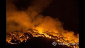 터키, 엿새째 대규모 산불과 사투…EU도 항공기 지원