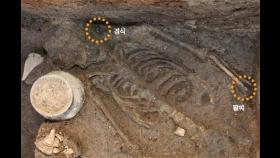 신라 월성서 또 인신공양 흔적…4세기 '제물 인골' 추가 발견