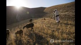 도시로 간 탈레반에 평화 찾은 아프간 시골…폭력·분쟁 사라져