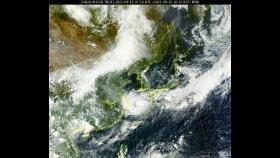 대구·경북 오후부터 비…파도 높아