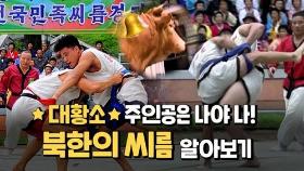 [연통TV] 인류 무형문화유산 남북한 씨름, 공통점과 차이점