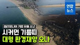 [영상] 캘리포니아 해변 덮은 시커먼 기름…죽은 물고기 떠밀려와