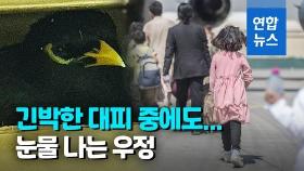 [영상] 아프간 난리통에도 날아가지 않고…주인 '껌딱지' 구관조