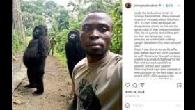 '사람과 너무 똑같은' 사진 포즈로 사랑받은 콩고 고릴라 숨져