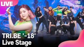 [LIVE] TRI.BE 트라이비 '-18' Showcase Stage 쇼케이스 무대 (현빈, 소은, 미레) [통통컬처]