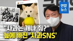 [영상] 윤석열 '전두환 옹호' 발언 사과 '산 넘어 산'