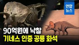[영상] 둘리 친구?…뿔 3개 초식공룡 화석 90억원에 낙찰