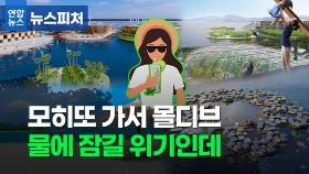 [뉴스피처] 물에 잠기는 몰디브…띄우는게 해법?