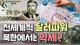 [연통TV] 전세계적 달러 파워! 북한에서는 약세?