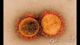 스파이크 돌연변이만 32개…보츠와나서 코로나19 새 변이종 발견