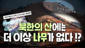 [한반도N] 남북 산림 복원 프로젝트 '그린데탕트'