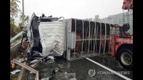 남해고속도서 빗길 교통사고, 화물차 운전사 사망