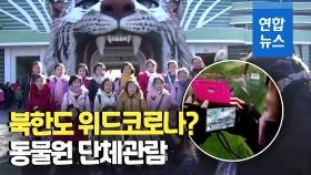 [영상] 북한 어린이들 동물원 나들이…휴대폰 촬영 눈길