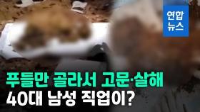 [영상] '강아지 킬러'의 손에 19마리가 죽어갔다…화단 파보니