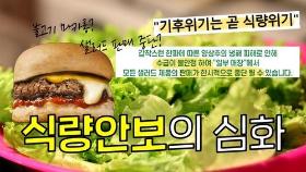 [한반도N] 양상추 없는 햄버거…심화하는'식량안보' 문제