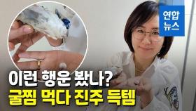 [영상] 굴찜 먹고 진주도 얻고…창원 부부의 '횡재'