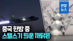 [영상] 중국, 스텔스기 야간전투 훈련 공개…