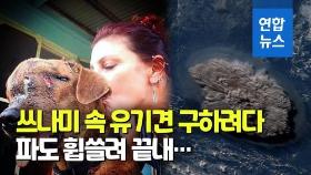 [영상] 통가 첫 사망자 확인…유기견 지키던 50대 영국 여성