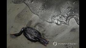 페루, 기름유출 해양오염에 '환경 비상사태' 선포