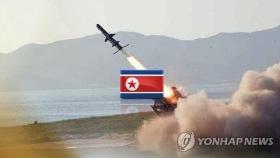 북한, 신형 순항미사일 2발 기습 발사…