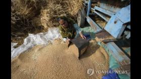 인니는 팜유, 인도는 밀 수출 금지…'식량보호주의' 확산