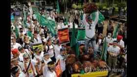 인니 팜유수출 금지에 농가 1조원대 손실…곳곳서 농민 시위