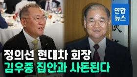 [영상] 정의선 현대차 회장 대우家와 사돈 맺는다…다음달 장녀 결혼