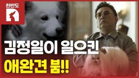 [한반도N] 북한의 반려동물 문화는 어떨까?