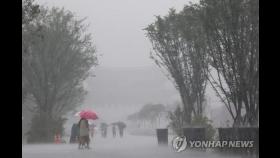 '기습 폭우'에 낙뢰·지반침하…서울 곳곳 피해 잇따라