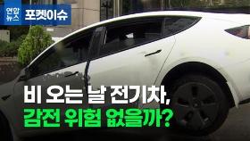 [포켓이슈] 비 올 땐 감전 조심!…전기차는 괜찮나?