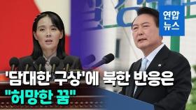 [영상] 북한, '尹 담대한 구상' 거부…