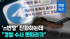 [영상] 업체 제휴에 단체방 광고까지…나는 'n번방', 기는 경찰 수사