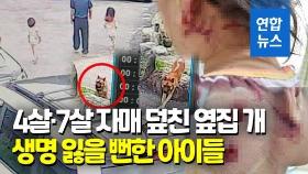 [영상] 추석 연휴 4·7살 자매 덮친 개…묶여 있었다는데 어떻게?