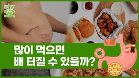 [Why요?] 많이 먹으면 배 터질 수 있을까?