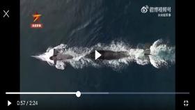 중국, '美본토 핵타격 가능' 신형 전략 핵잠수함 영상 공개