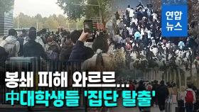 [영상] 中 대학생들도 '집단 탈출'…경비원 뚫고 담장 넘어