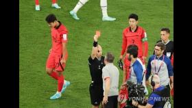 [월드컵] EPL서 '손흥민 퇴장' 심판, 카타르서는 '벤투에 레드카드'