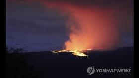 세계 최대 하와이 활화산 38년 만에 분화…정상부 용암 분출(종합)
