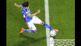 [월드컵] 일본 살려낸 VAR…지금까지 44경기에서 22차례 판정 번복